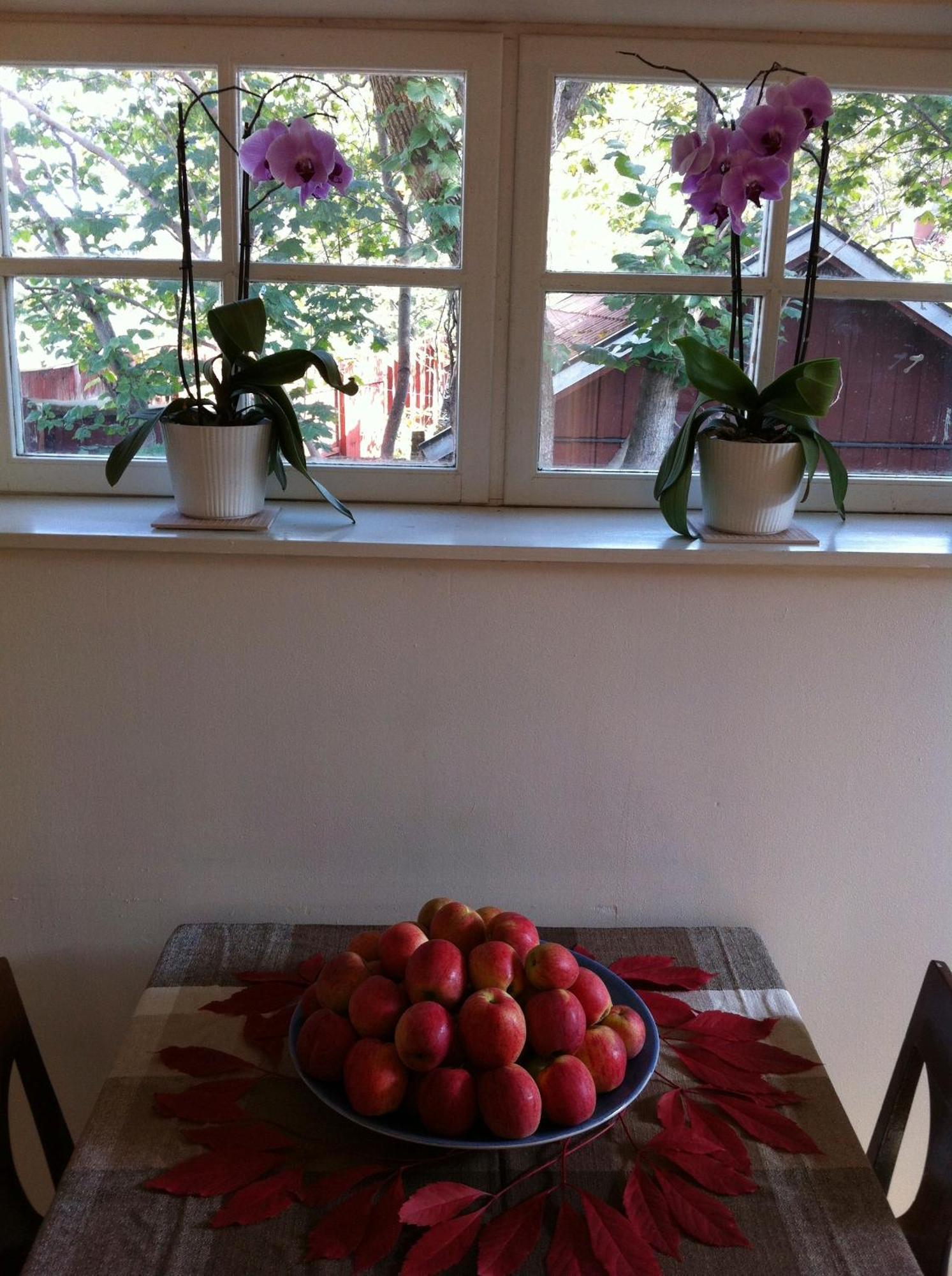 Stockholm B&B Cottage Nacka Room photo