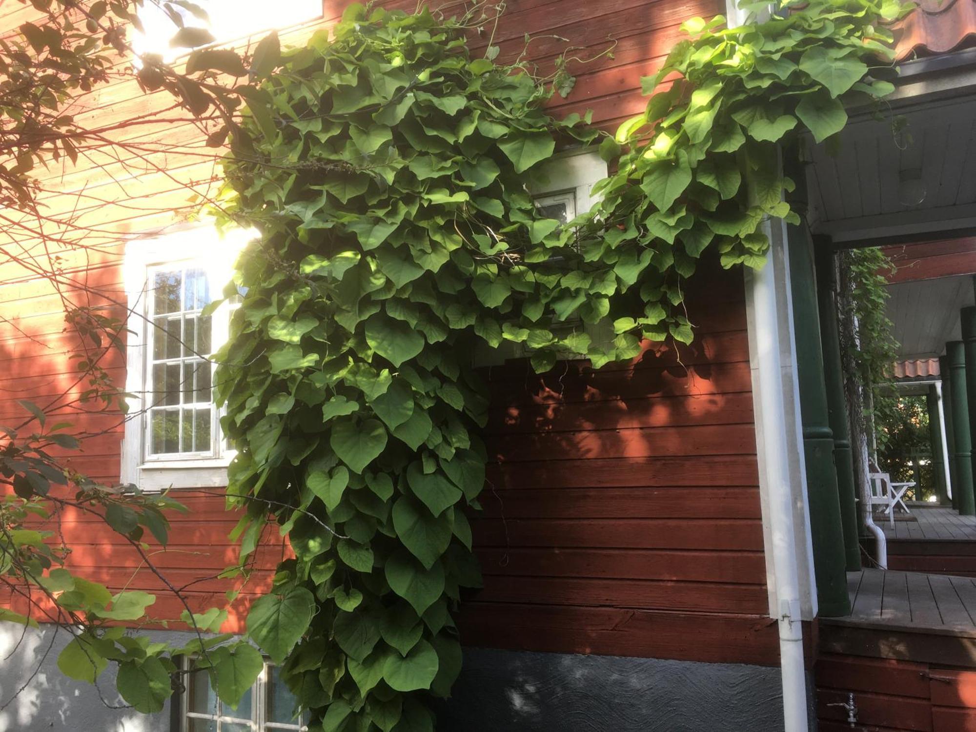 Stockholm B&B Cottage Nacka Room photo